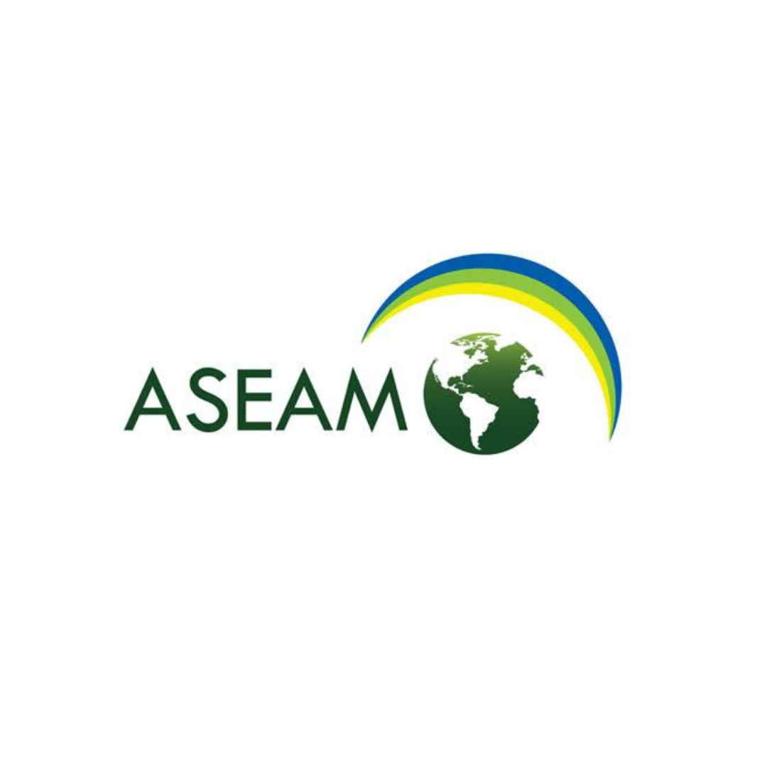 ASEAM logo